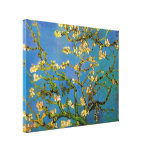 Van Gogh; Blossoming Almond Tree Gallery Wrap Canvas