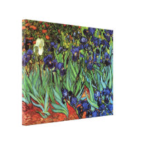 Van Gogh Irises Stretched Canvas Prints