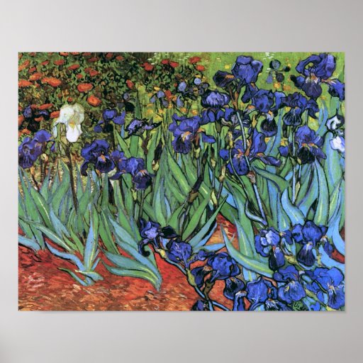 Van Gogh Irises Fine Art Poster