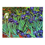 Van Gogh Irises Postcard