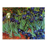 Van Gogh Irises, Vintage Post Impressionism Art Postcards
