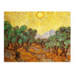 Van Gogh Olive Trees Yellow Sky & Sun Post Cards