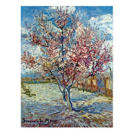 Van Gogh Pink Peach Tree Fine Art Post Card