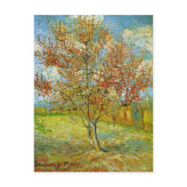 Van Gogh Pink Peach Tree in Blossom Post Card