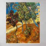 VAN GOGH - Trees in the Asylum Garden