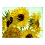 Van Gogh: Vase Twelve Sunflowers Vintage Fine Art Post Card