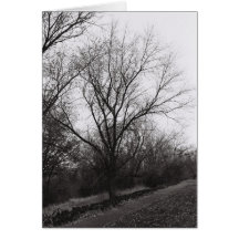 "Van Goghish" Greeting Card