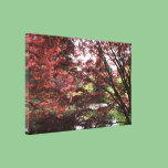 Vancouver Van Dusen Garden, Japanese Maple. canvas prints