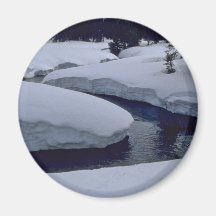 Vanilla Land Fridge Magnet