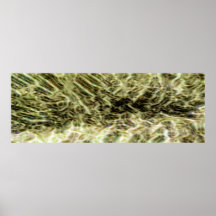 Vapeur de désert poster