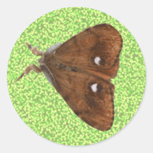 Vapourer Moth Sticker
