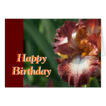 Variegated Iris Birthday Card