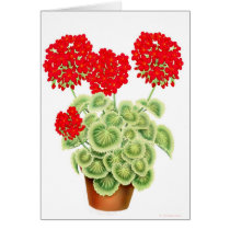 Variegated Red Geraniums Card