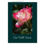 Variegated Rose Floral Gift Greeting Card