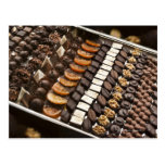 Variety of Artisanal Chocolate Pralines Postcard