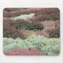 Variety of Heathers Mouse Pad