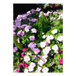 Variety of  Impatiens in the Sun Custom Invitation