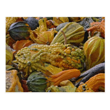 Variety of squash postcards