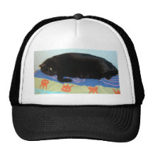 Various products trucker hats