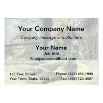 Vase of Flowers at the Window - 1881 business cards