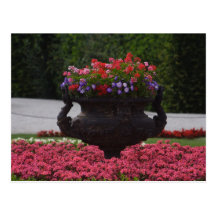 vase with flowers postcards
