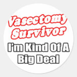 Vasectomy Survivor...Big Deal Round Stickers
