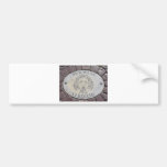 Vatican Piazza floor Bumper Stickers