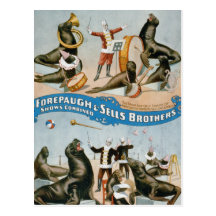 Vaudeville, Circus shows Post Card