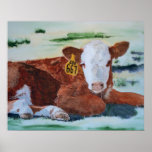 Veau de Hereford Posters