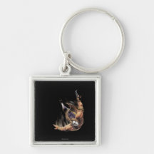 Vega Key Chains