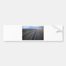 Vehicle tracks on sandy beach New Zealand Bumper Sticker