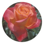 Veldfire Round Stickers