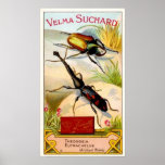 Velma Suchard VIntage Ad Print