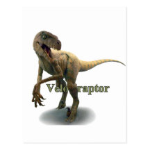 Velociraptor Post Card