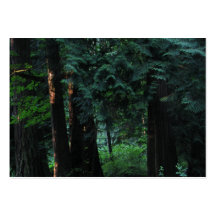 Velvet Forest Business Card Template