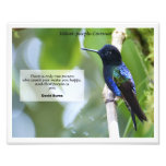 Velvet-purple Coronet Photo Print