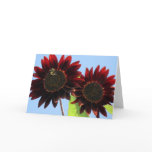 Velvet Queen Sunflowers Greeting Cards