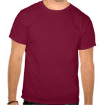 Venezuela Brush Flag Shirts
