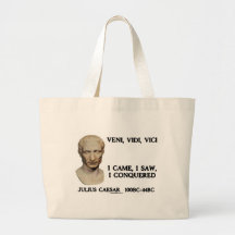 Veni, Vidi, Vici - I Came, I Saw, I Conquered Bags