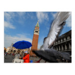 Venice scene postcard