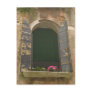 Venice Window Box Postcard