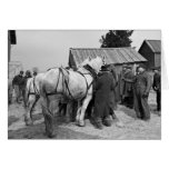 Vente aux enchères de cheval de trait, les années  cartes de vœux