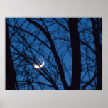 Venus and Sister Moon - Fine Art Photography Print
