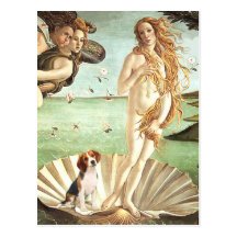 Venus-Beagle1 Carte Postale
