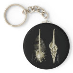 Venus Comb + a spindle snail keychains