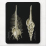 Venus Comb + a spindle snail Mouse Pad