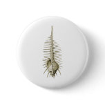 Venus Comb buttons