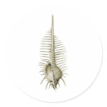 Venus Comb stickers
