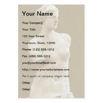Venus de Milo Business Card business cards