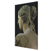 Venus de Milo, detail of the back of the head, Hel Gallery Wrap Canvas